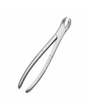 Growing Tooth Forceps (SS)